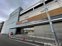 アピタパワー岩倉店