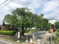 下り松公園