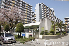 水草保育園