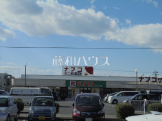 ナフコ不二屋サンライフ店