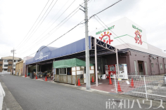 問屋スーパーサント春日井店