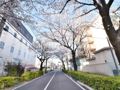 大泉学園通り