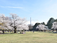都立光が丘公園