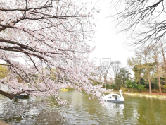 都立石神井公園