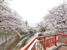 山下橋