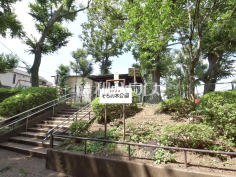 中野区立そろの木公園