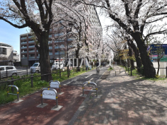 狭山・境緑道