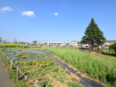 花と緑の広場