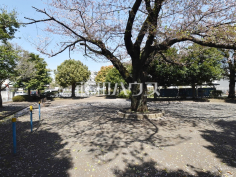 大沢のびのび児童遊園