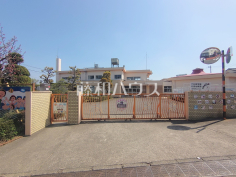 杉野幼稚園