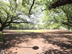 旭が丘中央公園