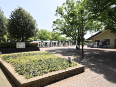 日野市 市民の森スポーツ公園