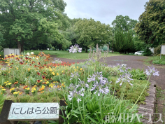 西原公園