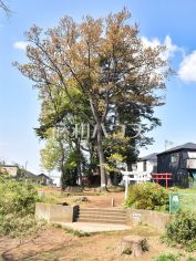中里公園