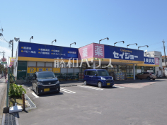 ココカラファイン デイリーケアセイジョー 所沢中央店