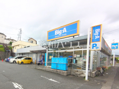 ビッグ・エー 八王子長沼町店