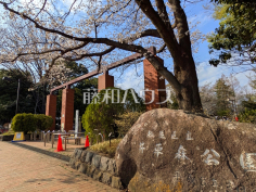 杉並区立井草森公園