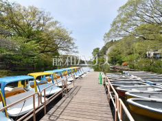 東京都立 善福寺公園