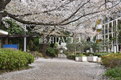 蚕糸の森公園