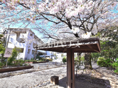 堀合遊歩道