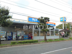 ビッグ・エー 東大和桜が丘店