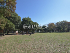 善福寺川緑地