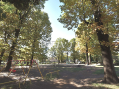 善福寺川緑地公園