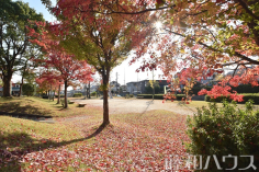 午新田公園