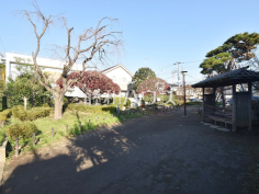 さつき公園