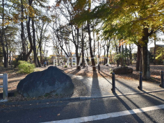 野鳥の森公園