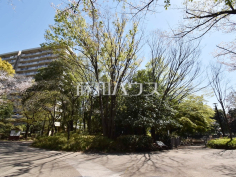 春の風公園