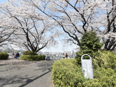 いろは坂桜公園