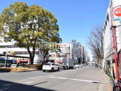 中杉通り