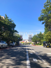 大学通り(国立市東～富士見台1丁目)