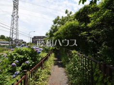 玉川上水緑道(武蔵野市桜堤)