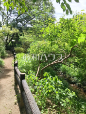 調布市野草園