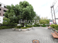 武蔵野市立東町くすのき公園