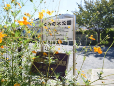 ぐみの木公園