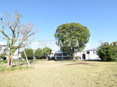 吉祥寺西公園