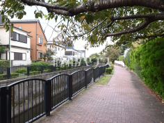 神田川遊歩道