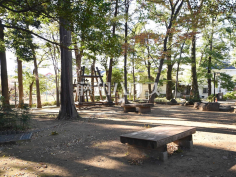 杉並区立清水森公園
