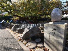 杉並区立中瀬児童遊園