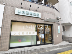 レオ動物病院
