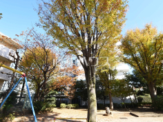 練馬区立上石千川児童遊園