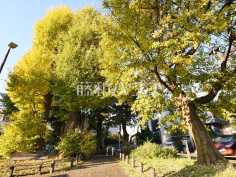練馬区立 早宮こかげ緑地