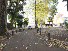 練馬区立早宮の森緑地