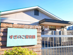 すぎのこ保育園 すぎのこ保育園