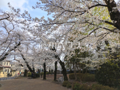 大野田公園