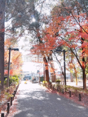 都立林試の森公園