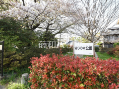 小金井市立きりの木公園